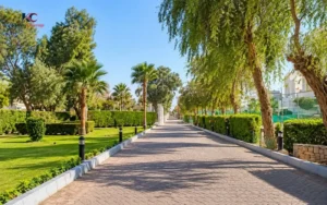 Walking and Jogging Areas